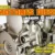 Manual de Servicio Motores Diesel 2, IVECO, MAN, VOLKSWAGEN