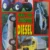Manual y Guía de AUTOMOTORES DIESEL