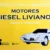 Manual de Servicio y Reparación de Motores DIÉSEL 1 Livianos