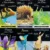 Guía Visual De La NATURALEZA