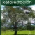 Manual Practico de REFORESTACIÓN