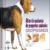 Atlas de ANATOMÍA de PEQUEÑOS ANIMALES