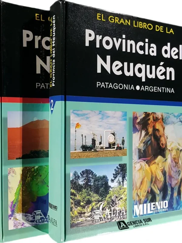 1711 El Gran Libro de la Provincia del NEUQUÉN