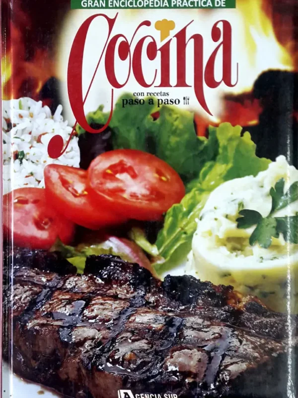 Gran Enciclopedia Practica de COCINA Color