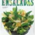 ENSALADAS, Recetas Románticas y Creativas