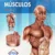 MÚSCULOS, Atlas de Anatomía