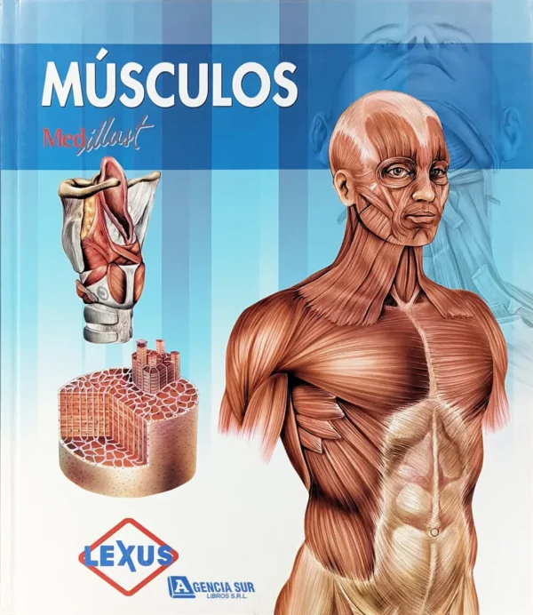 MÚSCULOS, Atlas de Anatomía
