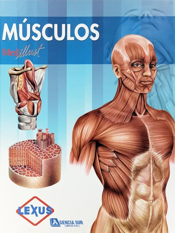 APARATO CARDIOVASCULAR, Atlas de Anatomía