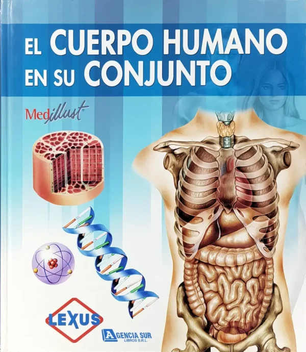 El CUERPO HUMANO en su Conjunto