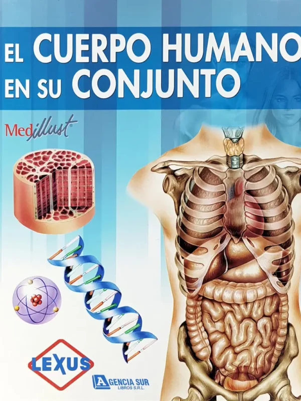El CUERPO HUMANO en su Conjunto
