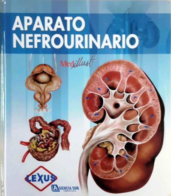 APARATO NEFROURINARIO, Atlas de Anatomía