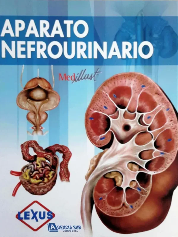 APARATO NEFROURINARIO, Atlas de Anatomía