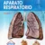 APARATO RESPIRATORIO, Atlas de Anatomía