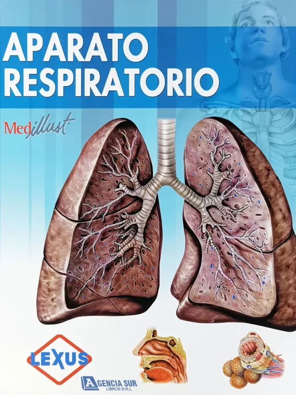 3138 APARATO RESPIRATORIO, Atlas de Anatomía