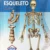3139 ESQUELETO, Atlas de Anatomía