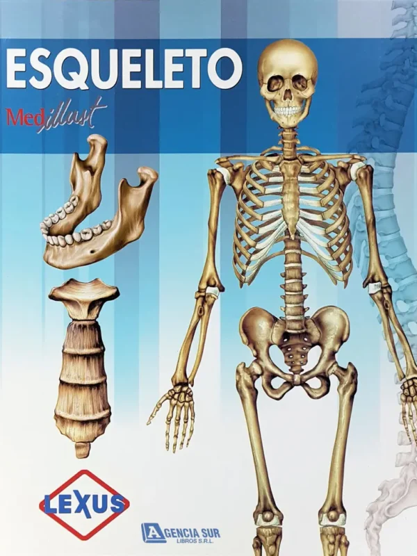ESQUELETO, Atlas de Anatomía