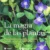 La Magia de las PLANTAS
