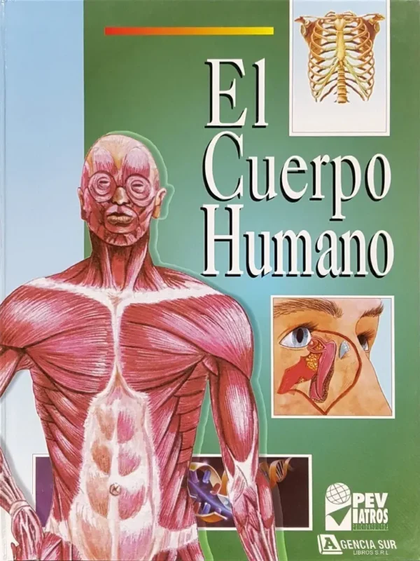 3542 El CUERPO HUMANO