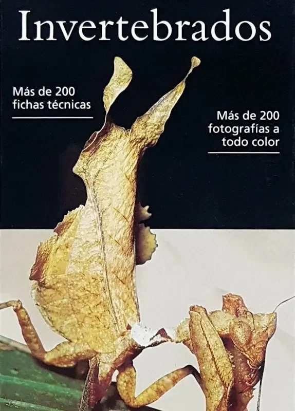 INVERTEBRADOS, Guía Visual Océano