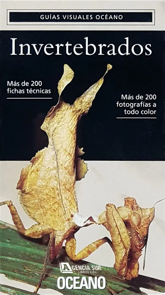 INVERTEBRADOS, Guía Visual Océano