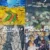 Colección de ARTE Monet Picasso Renoir Van Gogh