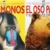 Los MONOS y el OSO PARDO