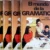 El Mundo de la GRAMÁTICA